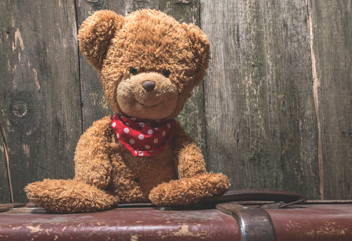 Unwanted teddy bear waiting for a new home